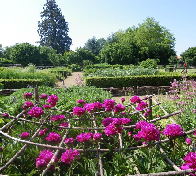 jardin médiéval - Bazoges en Pareds - 85 - PCU