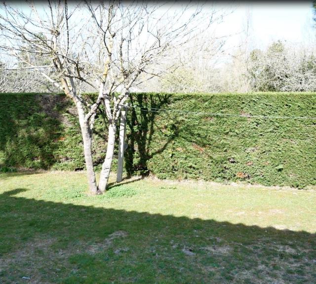 Jardin_1