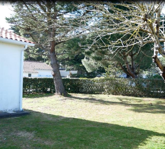 Jardin