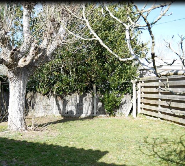 Jardin