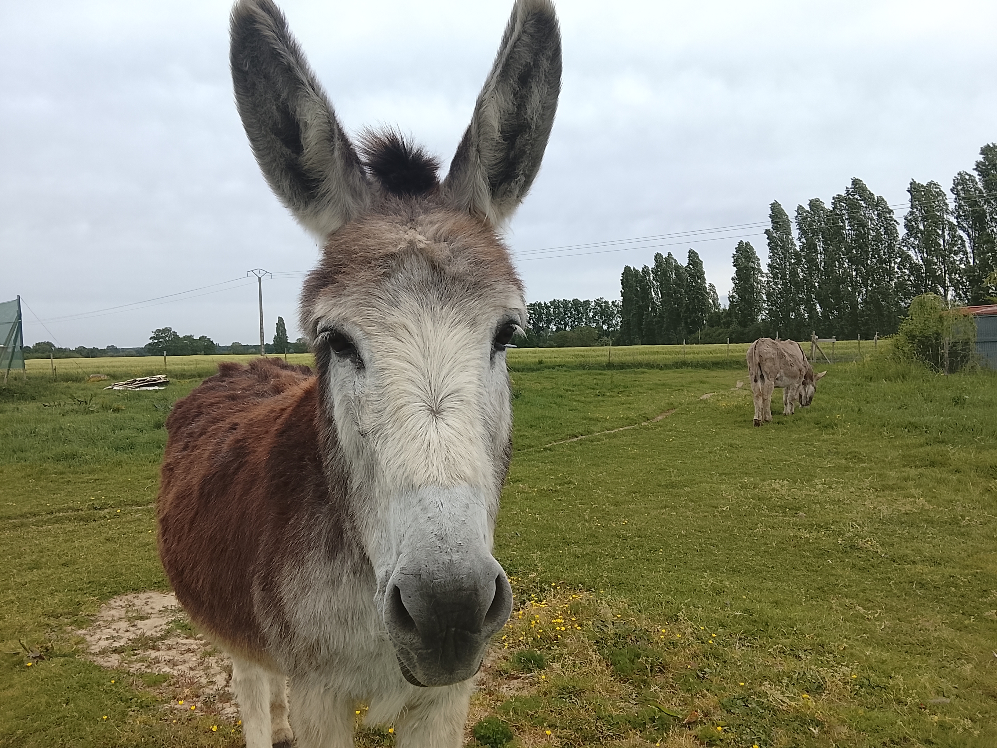 Mercredi du terroir : Visite de la ferme du Petit Bois
