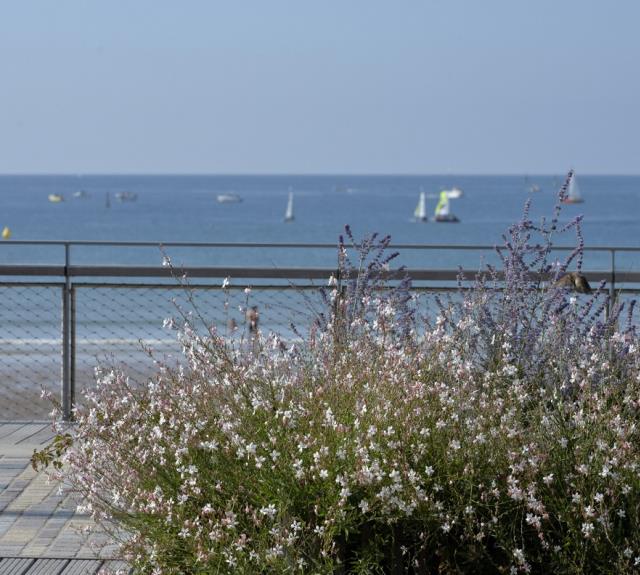 Les%20Sables%20d%20Olonne%20Pool%20REMBLAI%20MER%203