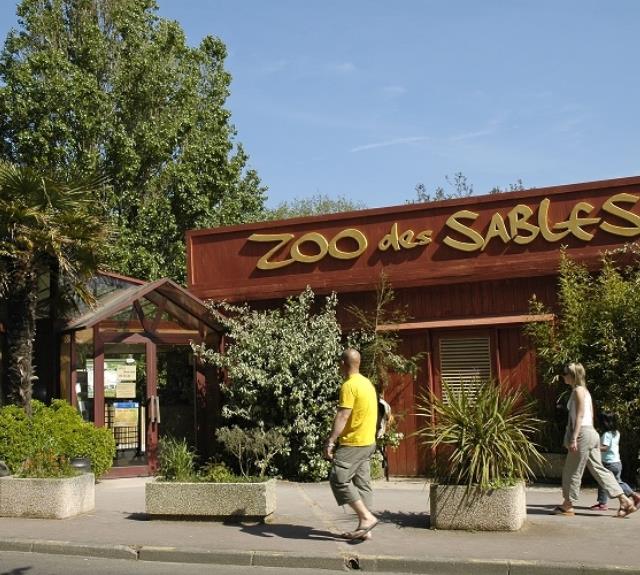 Les_Sables_d_Olonne_Pool_ZOO_3