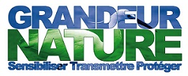 CCT LogoGrandeurNature jpeg