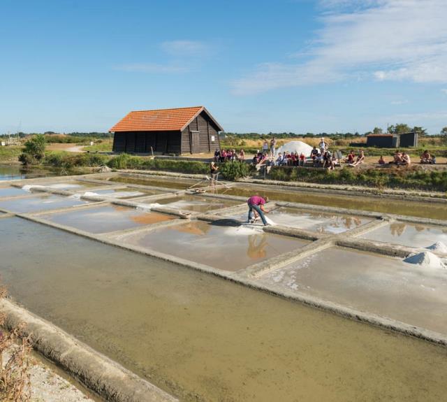 MARAIS_SALANT_SHDR