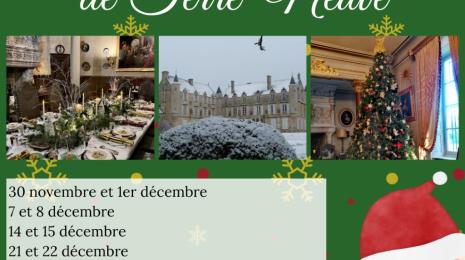 NOËL AU CHÂTEAU DE TERRE-NEUVE Du 30 nov au 22 déc 2024