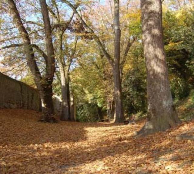 Parc Baron fontenay