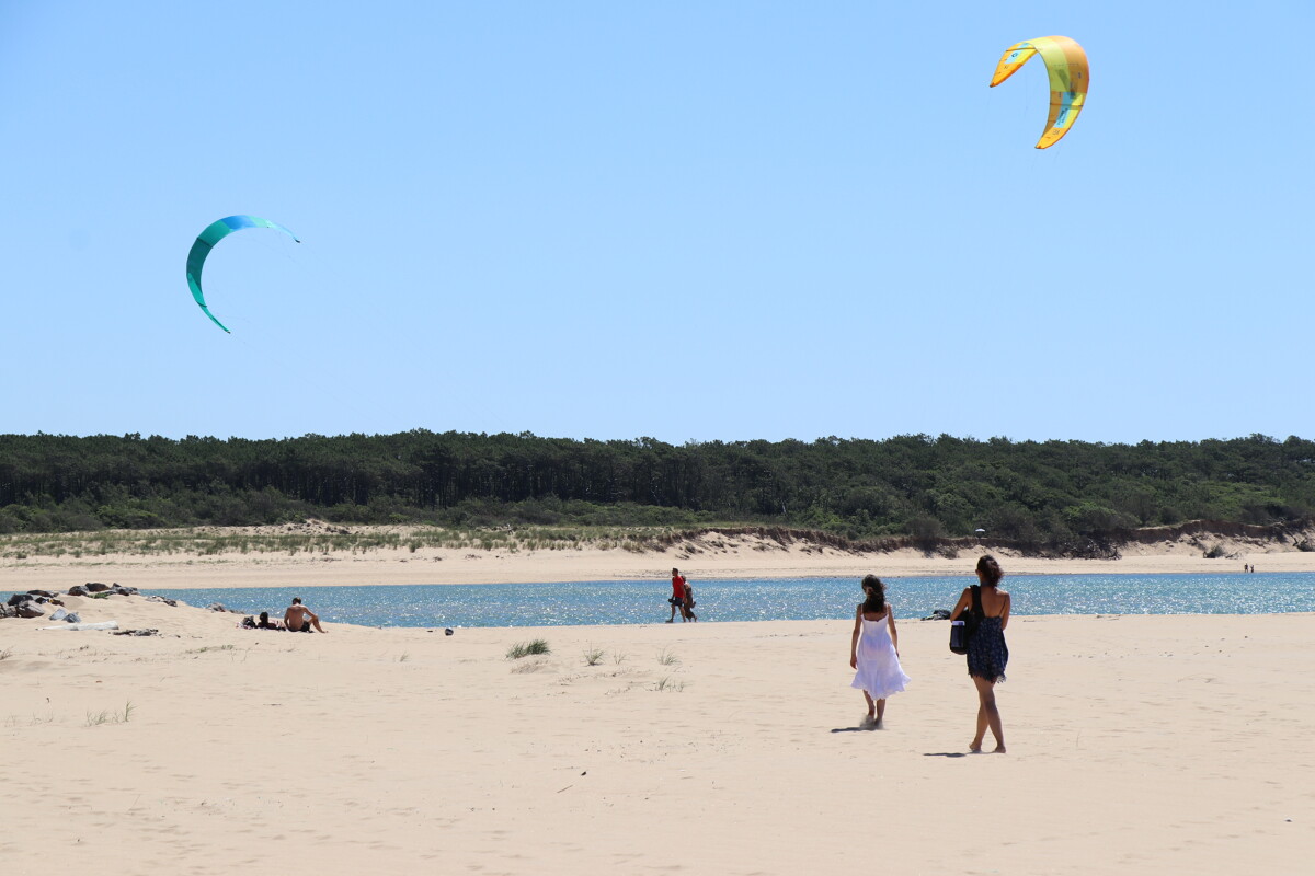 Le monde littoral au crépuscule TALMONTSAINTHILAIRE — free download
