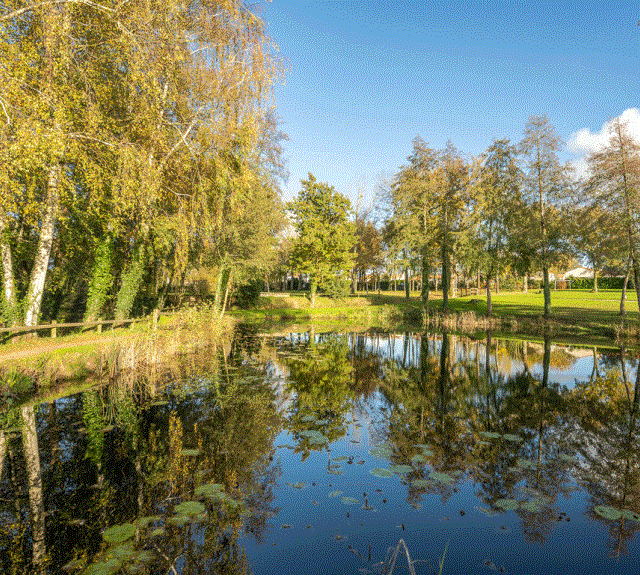 Les étangs du pré de la Fontaine