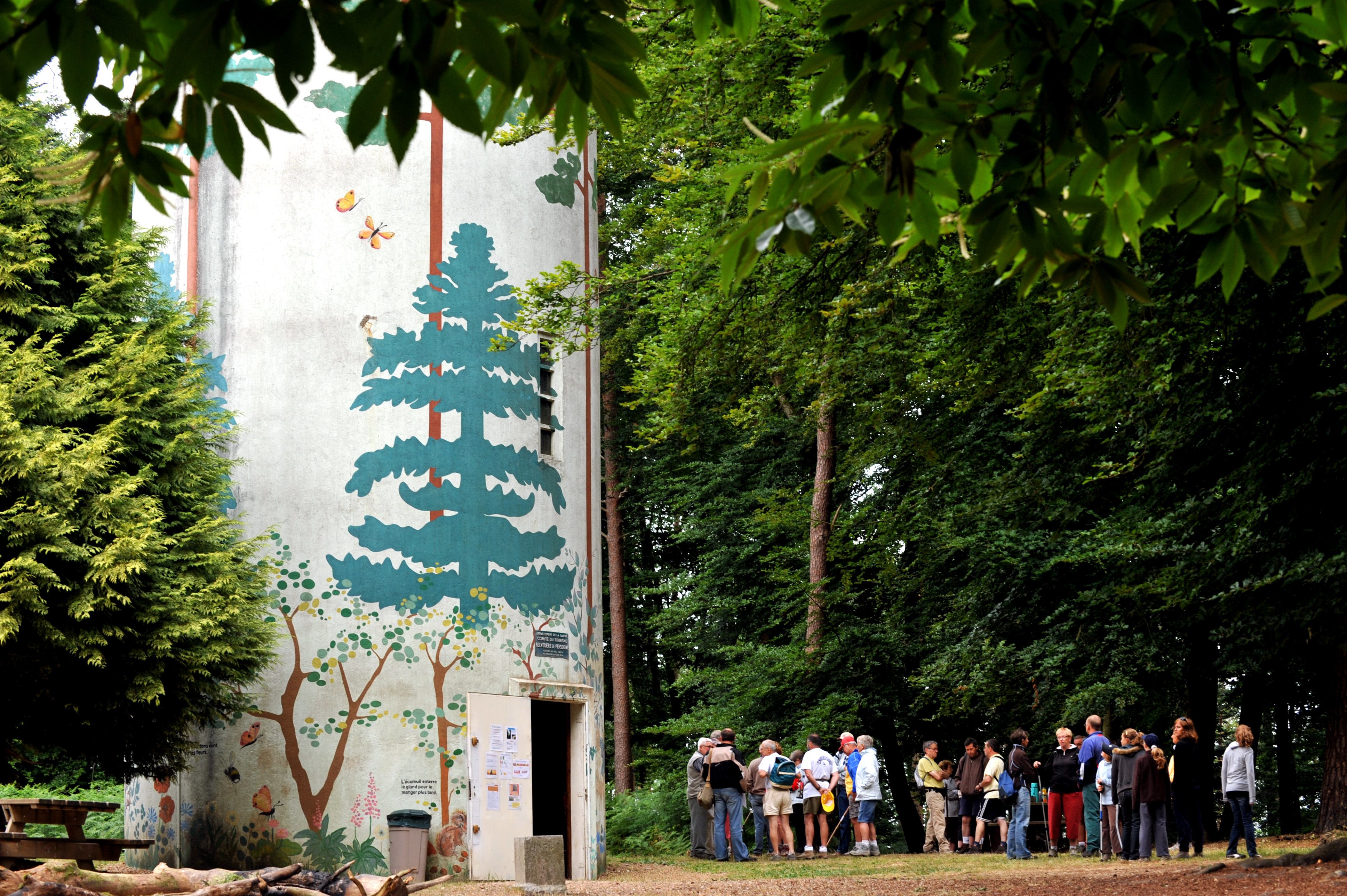 Balade Greeters : L’Appel de la forêt
