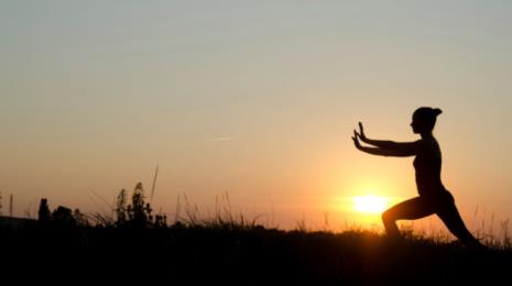 COURS DE TAI-CHI CHUAN Le 30 juin 2024