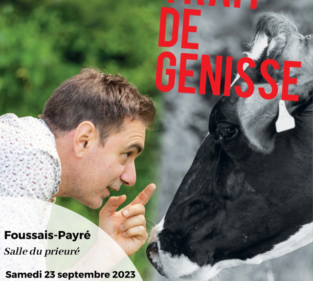 Affiche Un trait de genisse 