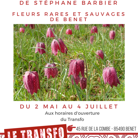 Copie de Copie de Présentation type