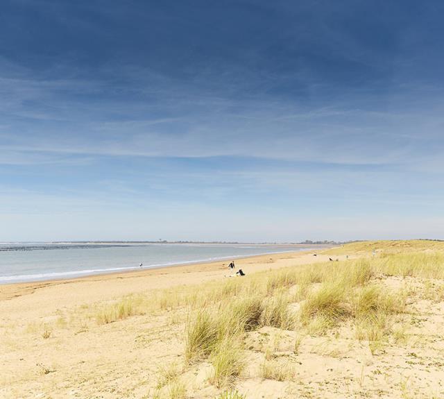 Plage des Bélugas - la Faute-sur-Mer -Vue plage et dunes