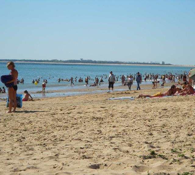 PLAGE DES CHARDONS-L'AIGUILLON-LA-PRESQU'ILE-Vue plage de sable et baigneurs