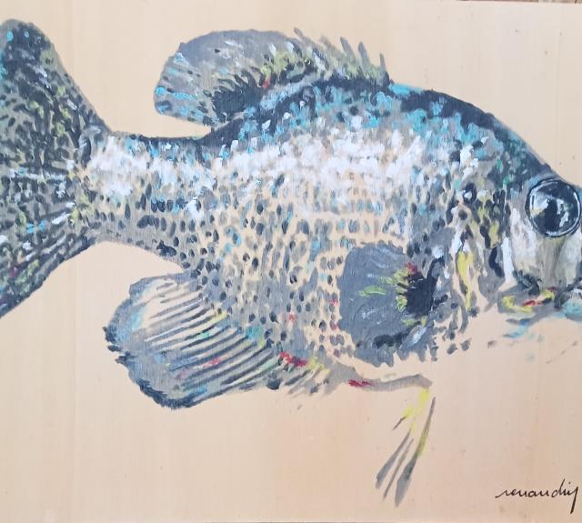 black bass
