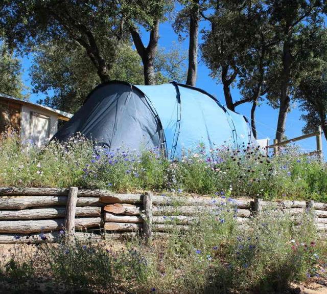 camping-jard-mer-bosquet-emplacement-tente