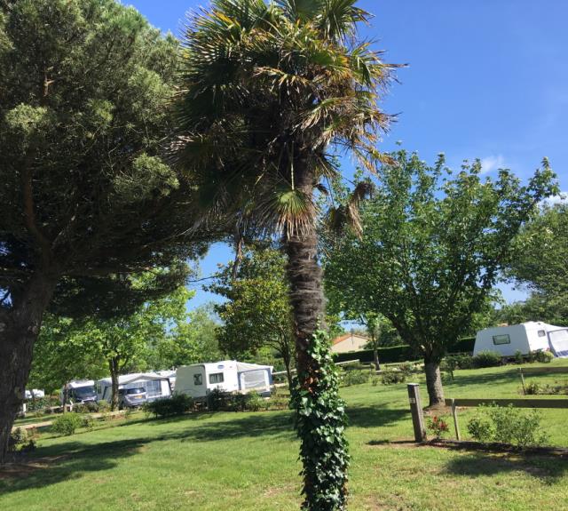 camping-jard-sur-mer-oceano-or-emplacement