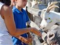 camping-la-grand-metairie-Saint Hilaire la Forêt vendee-animaux