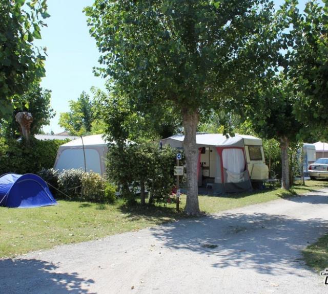 Camping Le Bois Collin