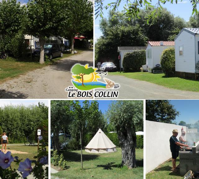 Camping Le Bois Collin