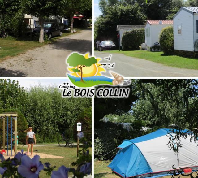Camping Le Bois Collin-Emplacements
