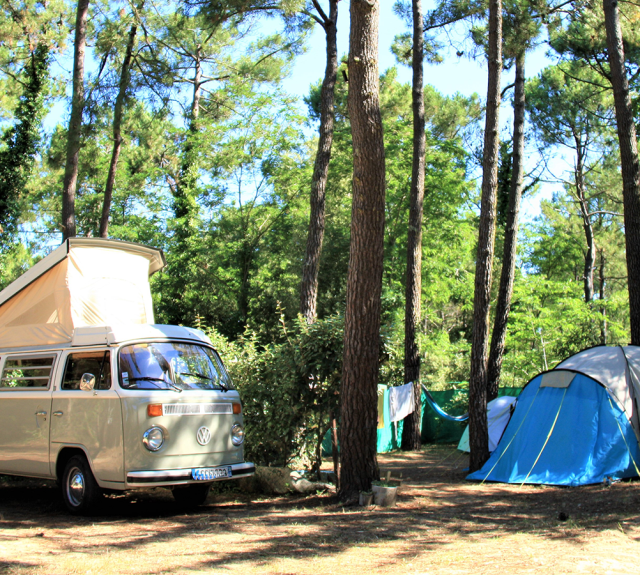 Camping Les Pinèdes de la Caillauderie