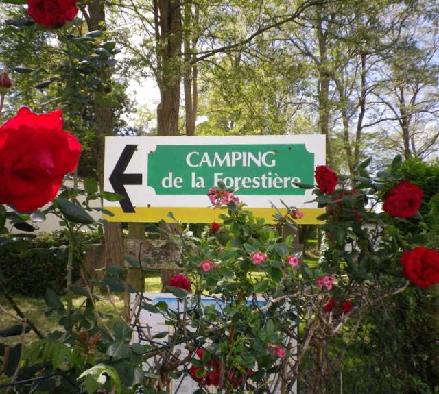 camping-longeville-mer-forestiere-accueil