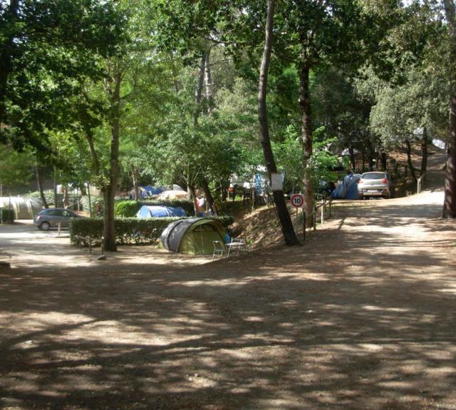 camping-longeville-mer-ramiers-accueil-cyclotouristes