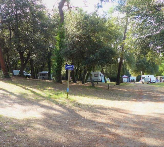 camping-st-vincent-jard-pied-girard-camping-ombrage
