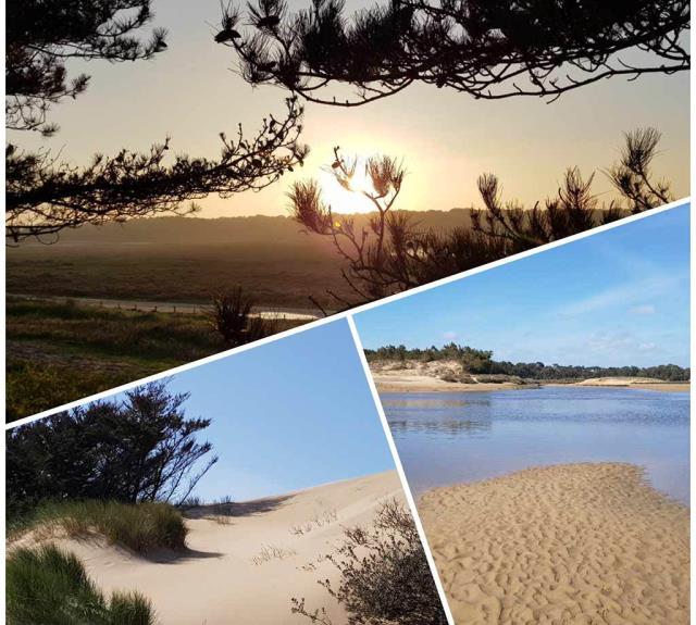 camping-talmont-st-hilaire-dunes-grand-ensemble-naturel