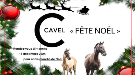 CAVEL FÊTE NOÊL Le 15 déc 2024