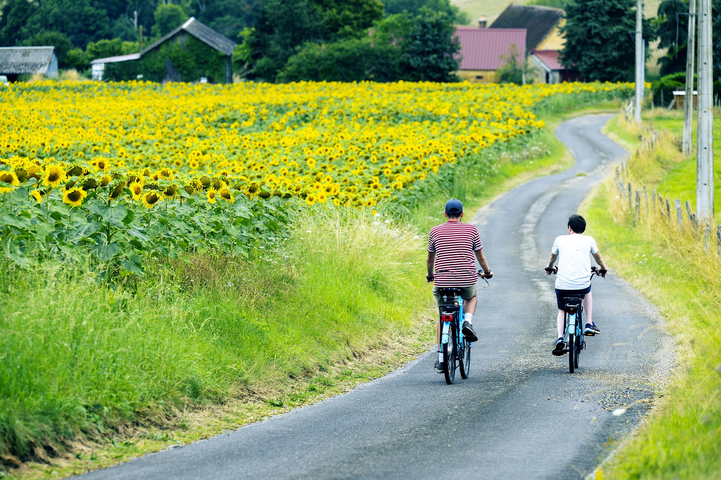 Courses cyclistes