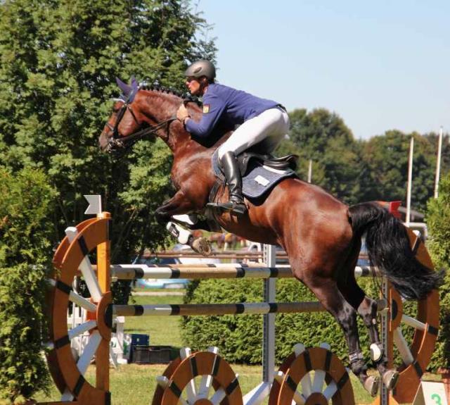 concours-hippique-saut