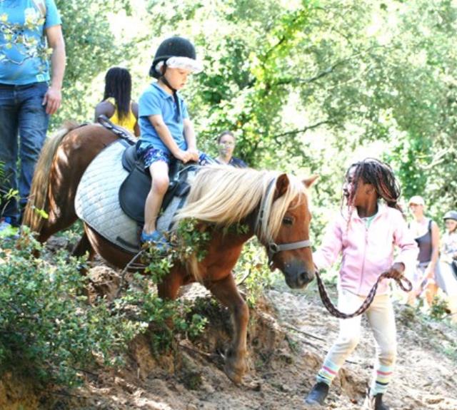 Equitation Nelly's Ranch Centre équestre à Saint Jean de Monts