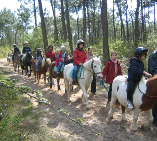 Equitation Nelly's Ranch Centre équestre à Saint Jean de Monts