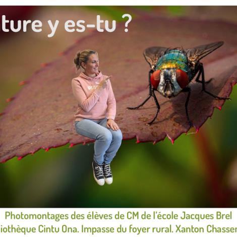 expo ecole photomontage