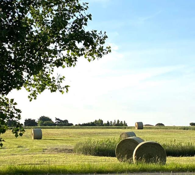 gite-campagne-talmont-domaine-guittiere-champs