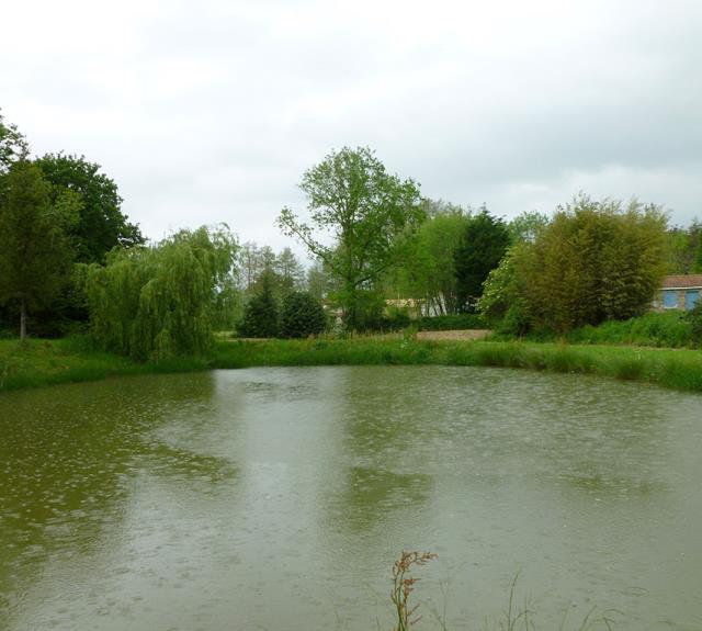 gite-duranteau-joel-saint-julien-des-landes-85-hlo-8