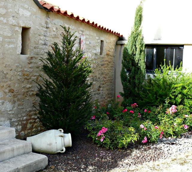 gite-les-chats-ferrés-meublé-montreuil-vendée-85200-16-fleurs-jardin