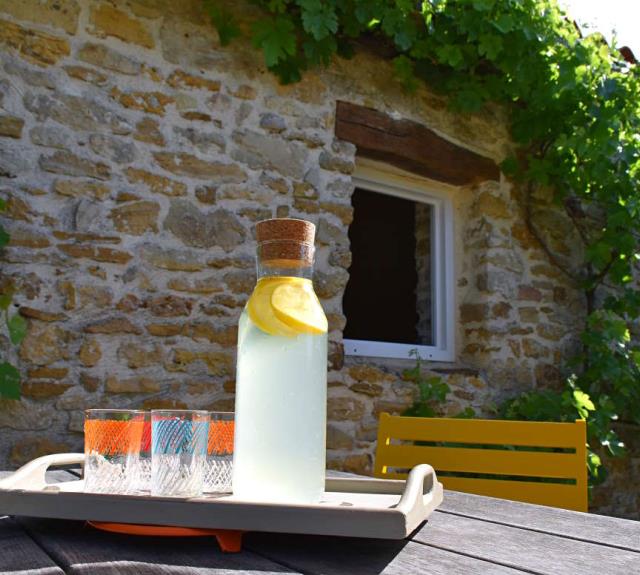 gite-marais-talmont-domaine-guittiere-pot-accueil