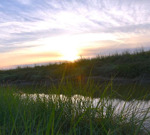 gite-ocean-talmont-domaine-guittiere-vue-marais