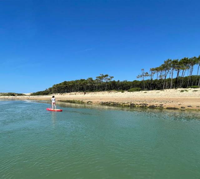 gite-talmont-st-hilaire-domaine-guittiere-paddle-estuaire-payre