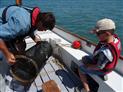 ile-de-noirmoutier-activites-nautiques-noirmoutier-littoral-6-66700