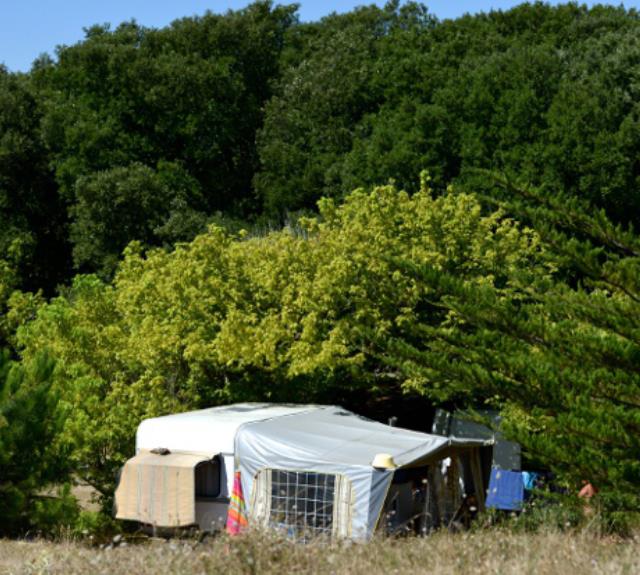 ile-de-noirmoutier-campings-la-bosse-au-coeur-des-bois-3518