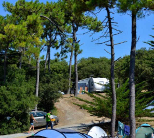ile-de-noirmoutier-campings-la-bosse-tentes-3523