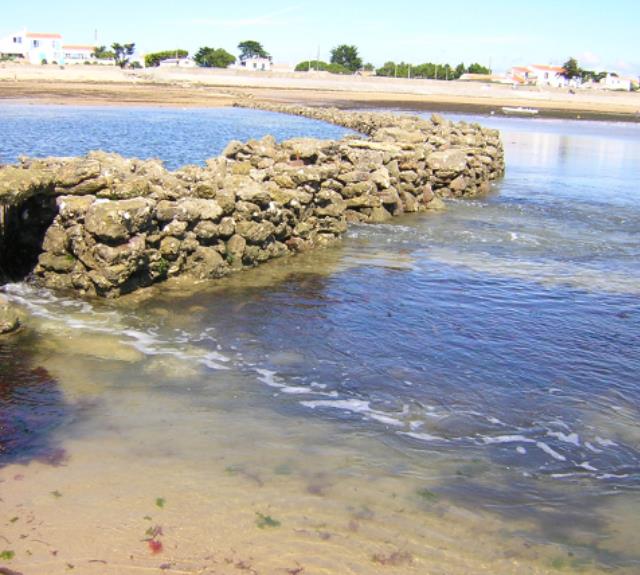 ile-de-noirmoutier-visites-maison-des-ecluses-1-117577