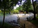 jardin du vent notre dame de monts vendee brume