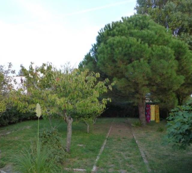 jardin-option-site-2014-2481