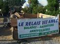 lerelaisdesanescommequiers (4)